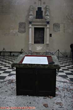 IMG_ (11349)